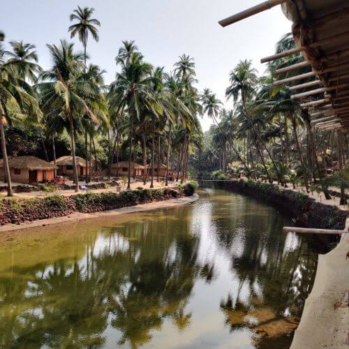 Top 13 Meditation Retreats in Goa