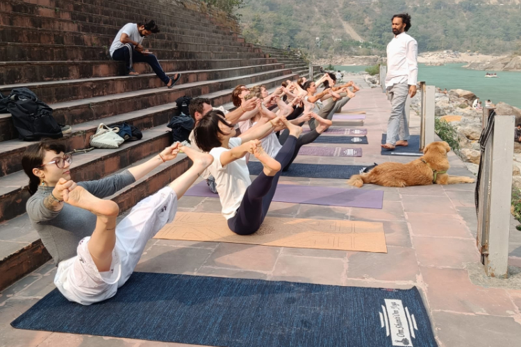 Top 15 200 Hrs Yoga Teacher Training Courses in Rishikesh
