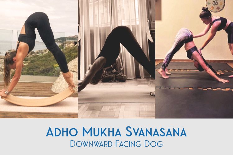 Adho Mukha Svanasana Benefits and Steps to do Downward Facing Dog Pose
