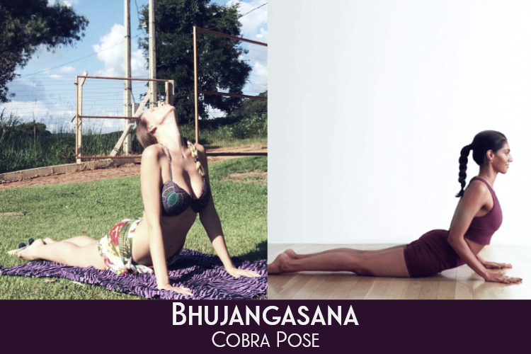 Bhujangasana Benefits and Steps to do Cobra Pose