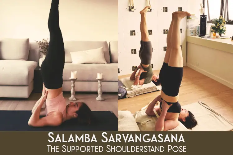 Salamba Sarvangasana Benefits and Steps To Do The Supported Shoulderstand Pose
