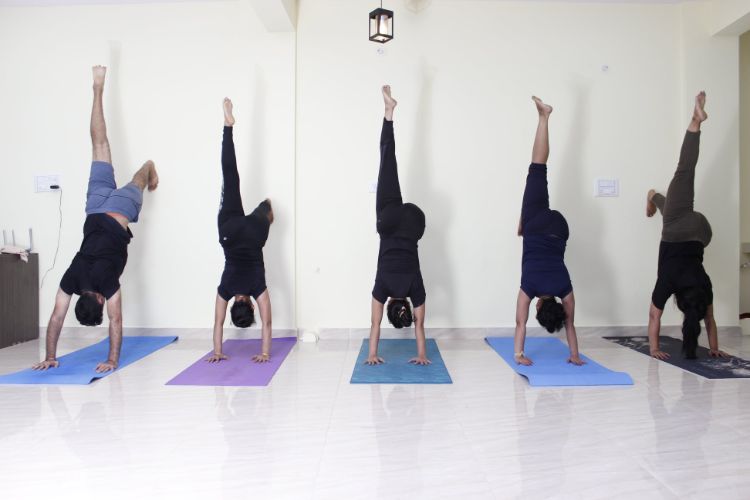 Top 10 Yoga Studios In Bangalore Balancegurus