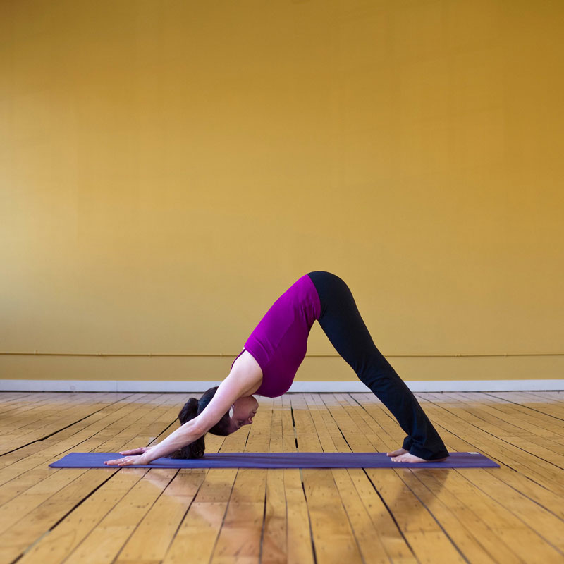 Bhaskar Yoga & Wellness