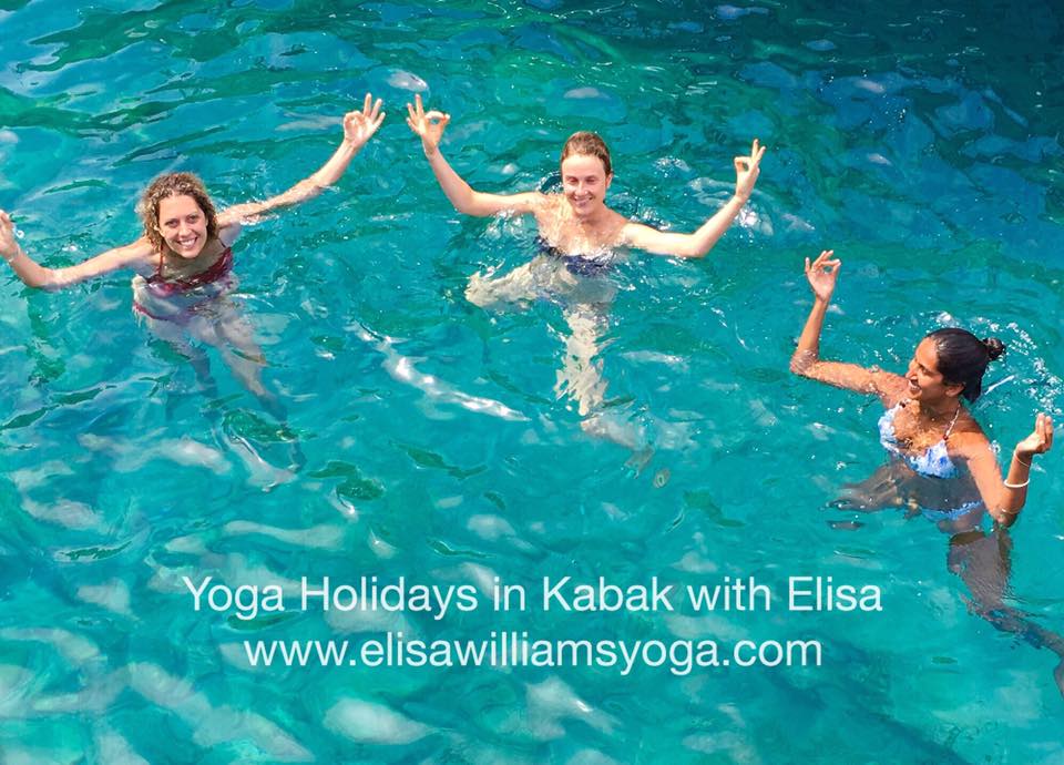 Elisa Williams Yoga Classes And Retreat Image