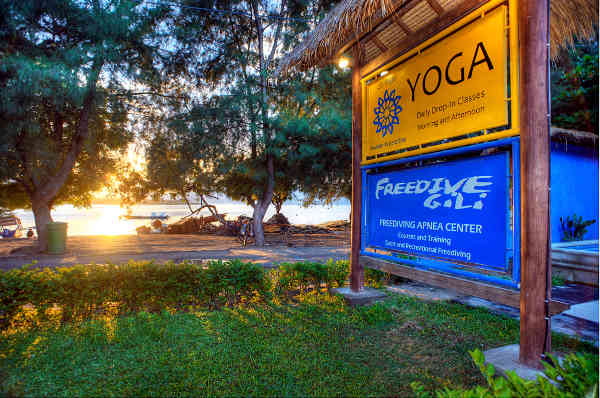 Freedive Gili Yoga Center