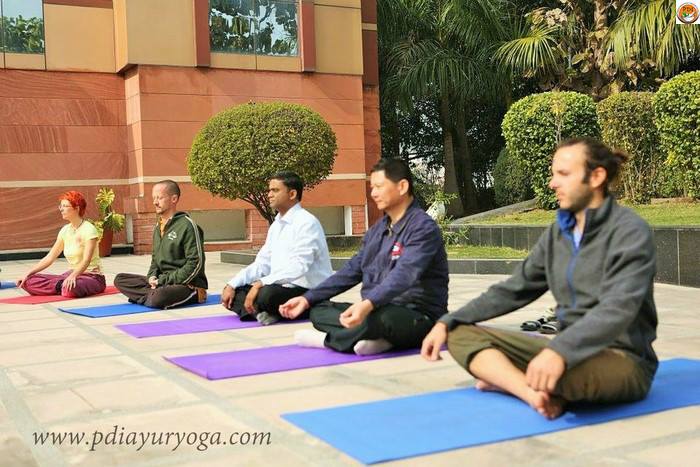 Pdi - Ayurveda Yoga And Panchakarma Center Image
