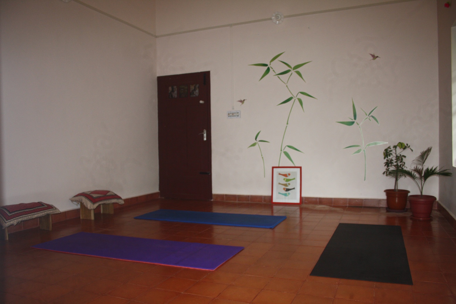 Mundax Homestay Yoga Meditation Retreat Image