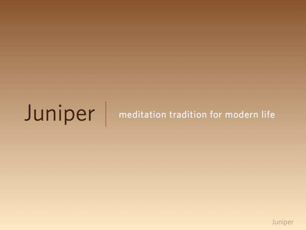 Juniper Meditation Image