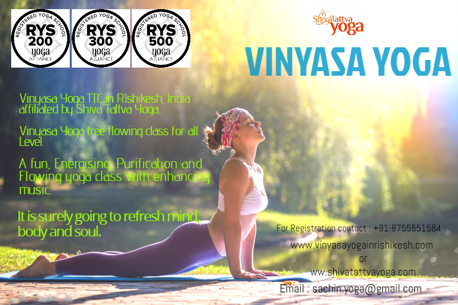 Himalayan Vinyasa Yoga School Image