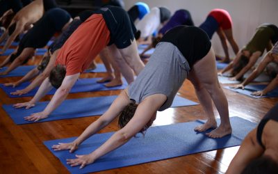 Balmain Iyengar Yoga Studio Image