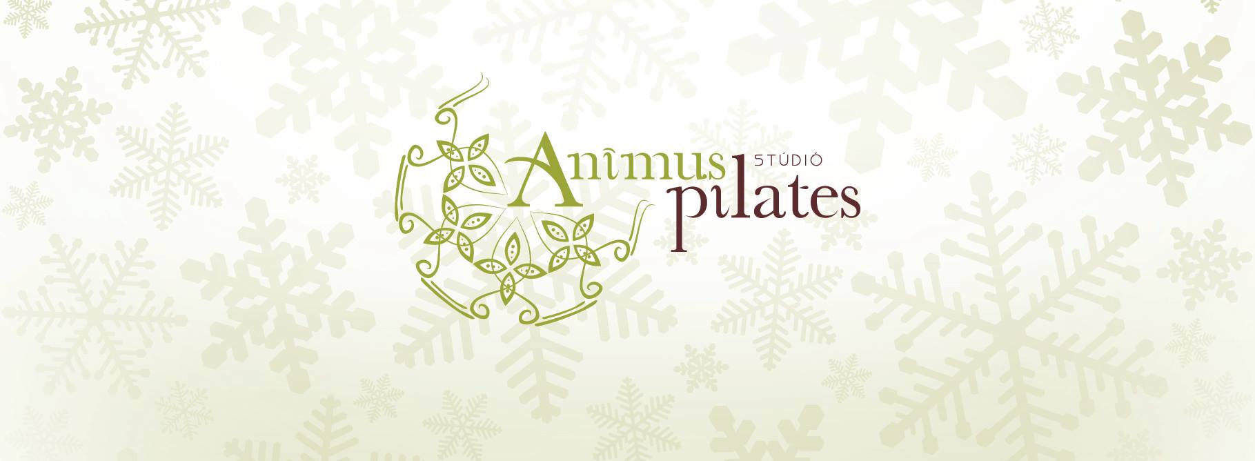 Animus Pilates Studio Budapest Hungary Image