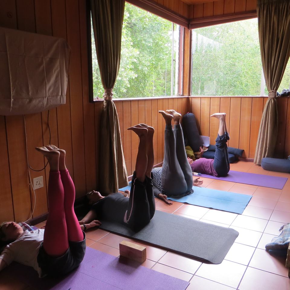 Back To Wellness Centre Yoga Studio Image