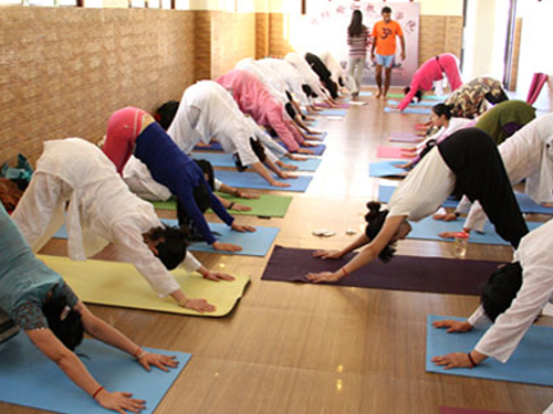 Avatar Yoga School Rishikesh