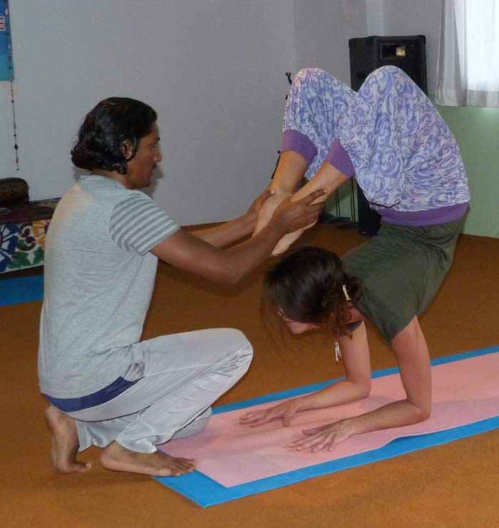 Hatha Yoga World Dharamsala India