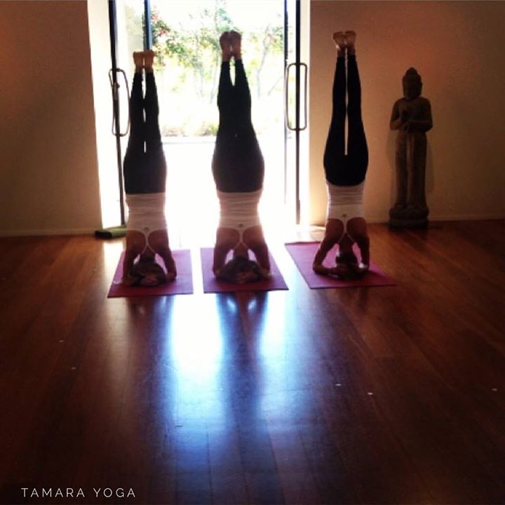 Tamara Yoga Claremont 