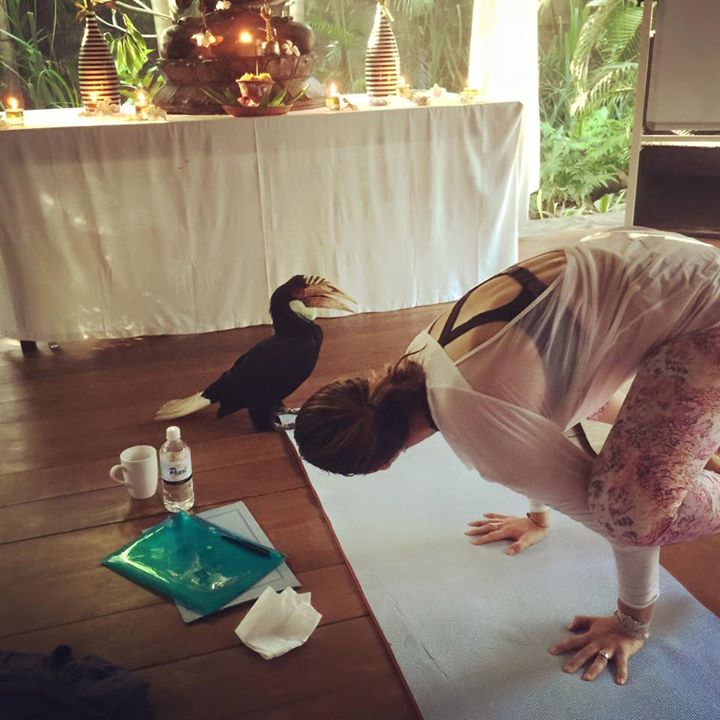 Adore Yoga Australia