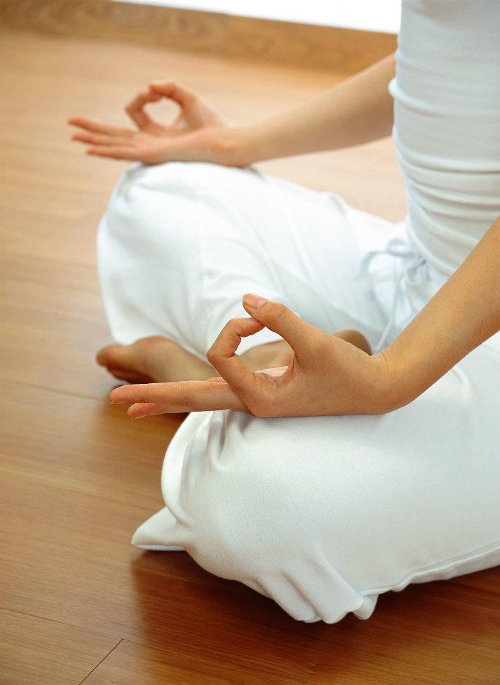 Namaste Yoga & Wellness Centre 