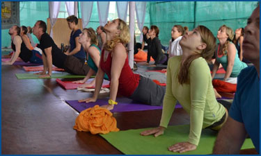 Yoga Marg Dharamshala 