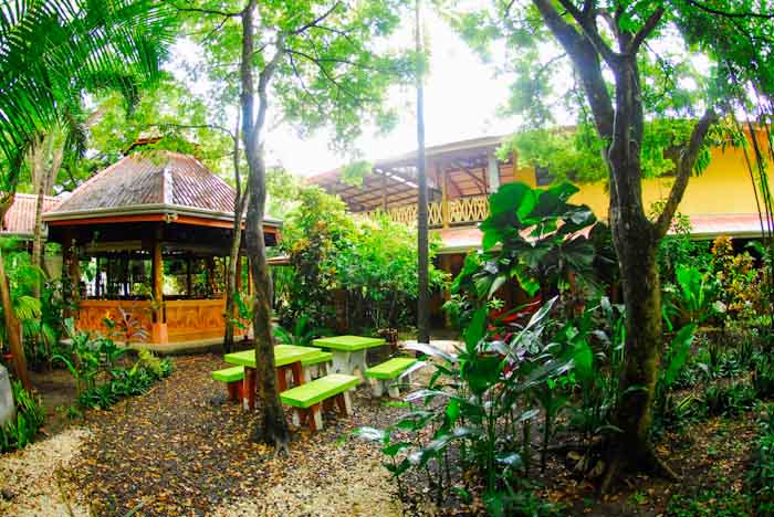 Casa Zen Guesthouse And Yoga Costa Rica