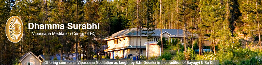 Dhamma Surabhi Vipassana Meditation Centre Merritt