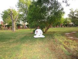 Hari Om Yoga Vidya School India