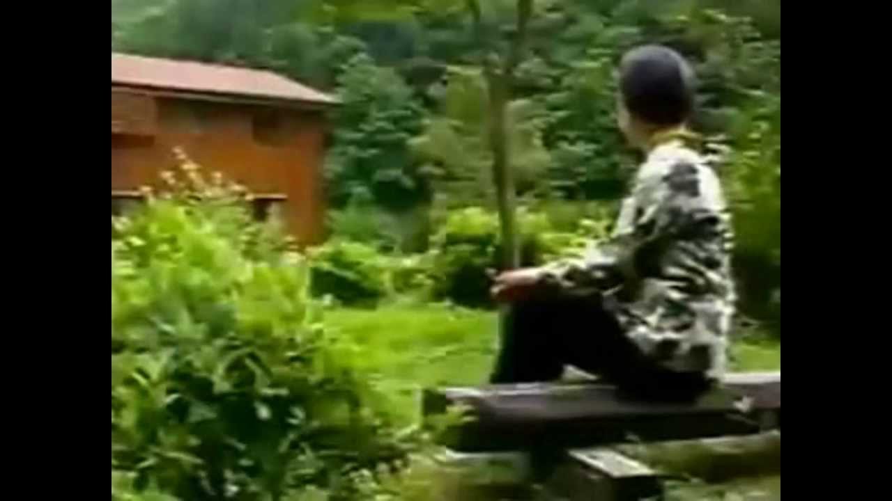 Dhamma Bhanu Vipassana Meditation Centre 