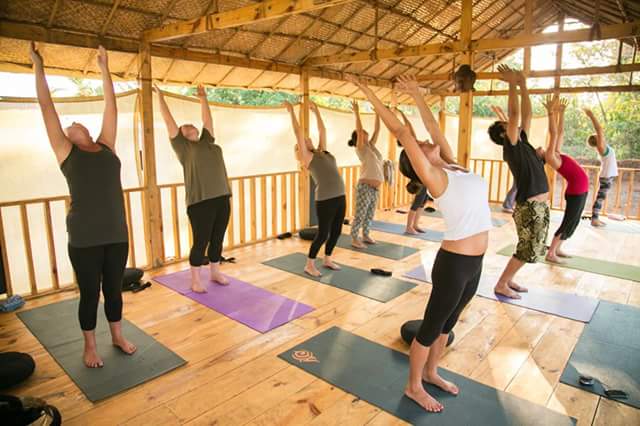 Love The Green Yoga Retreat Goa