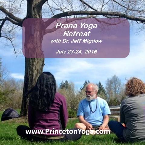 Princeton Center For Yoga And Health United States