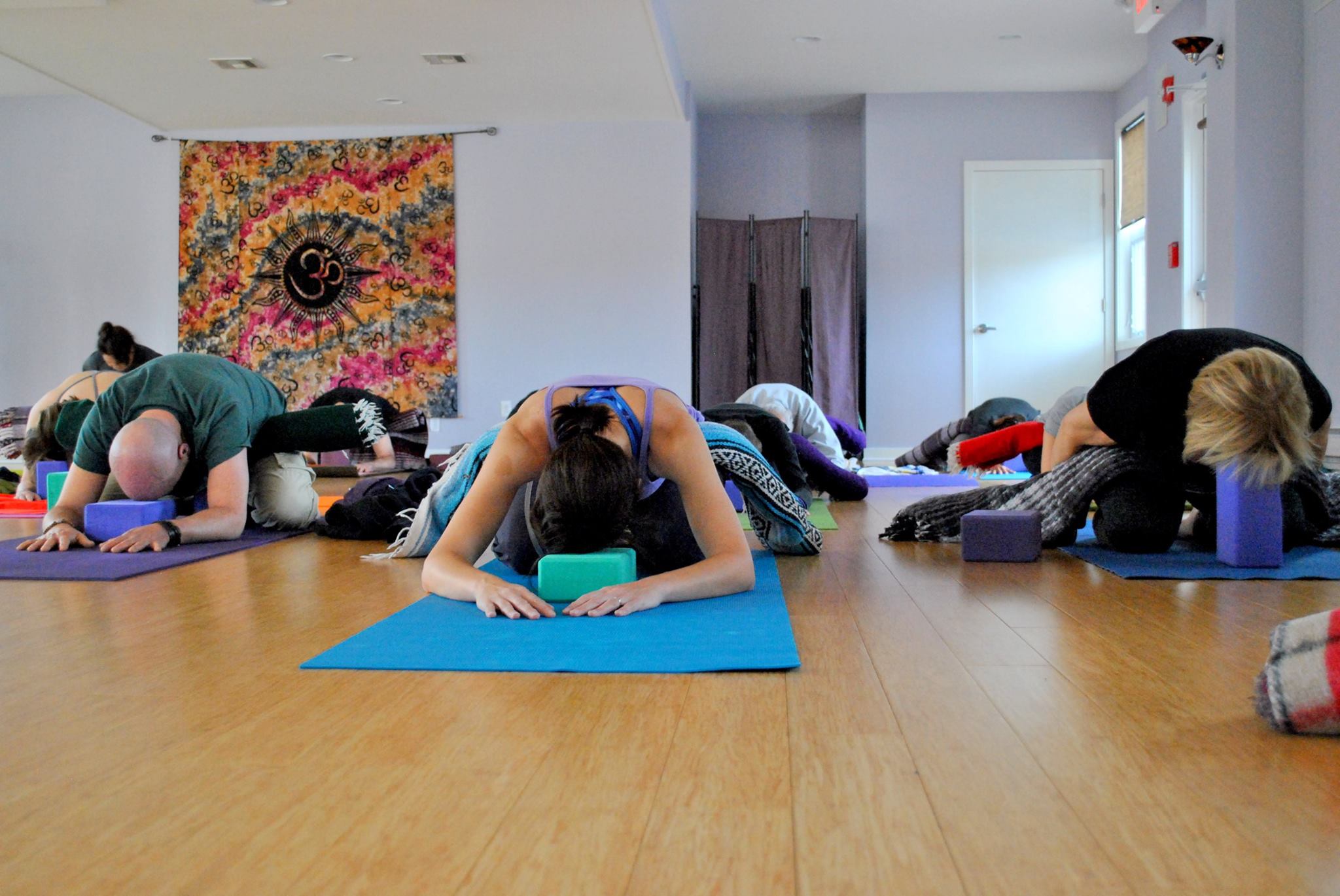 Princeton Center For Yoga And Health Somerset