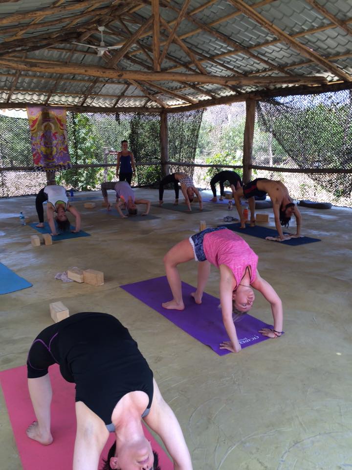 Drishti Yoga International Teacher Training 