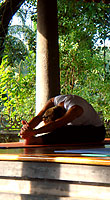 School Of Santhi Yoga 