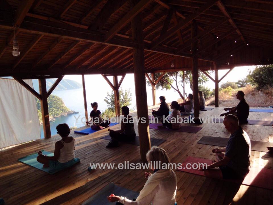 Elisa Williams Yoga Classes And Retreat 