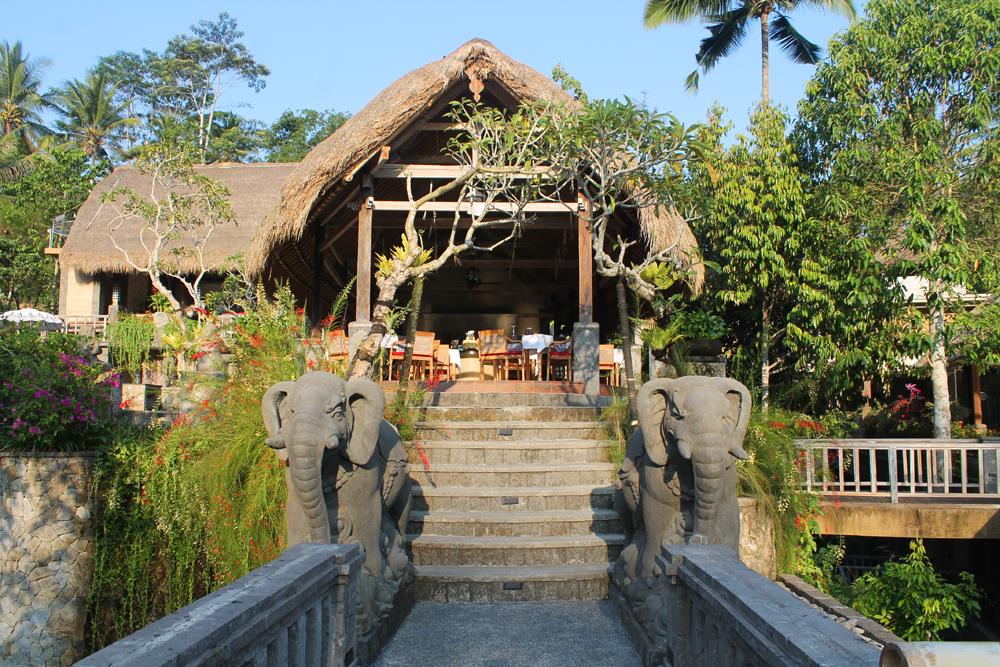 Wellness Retreat And  Yoga Travel Bali