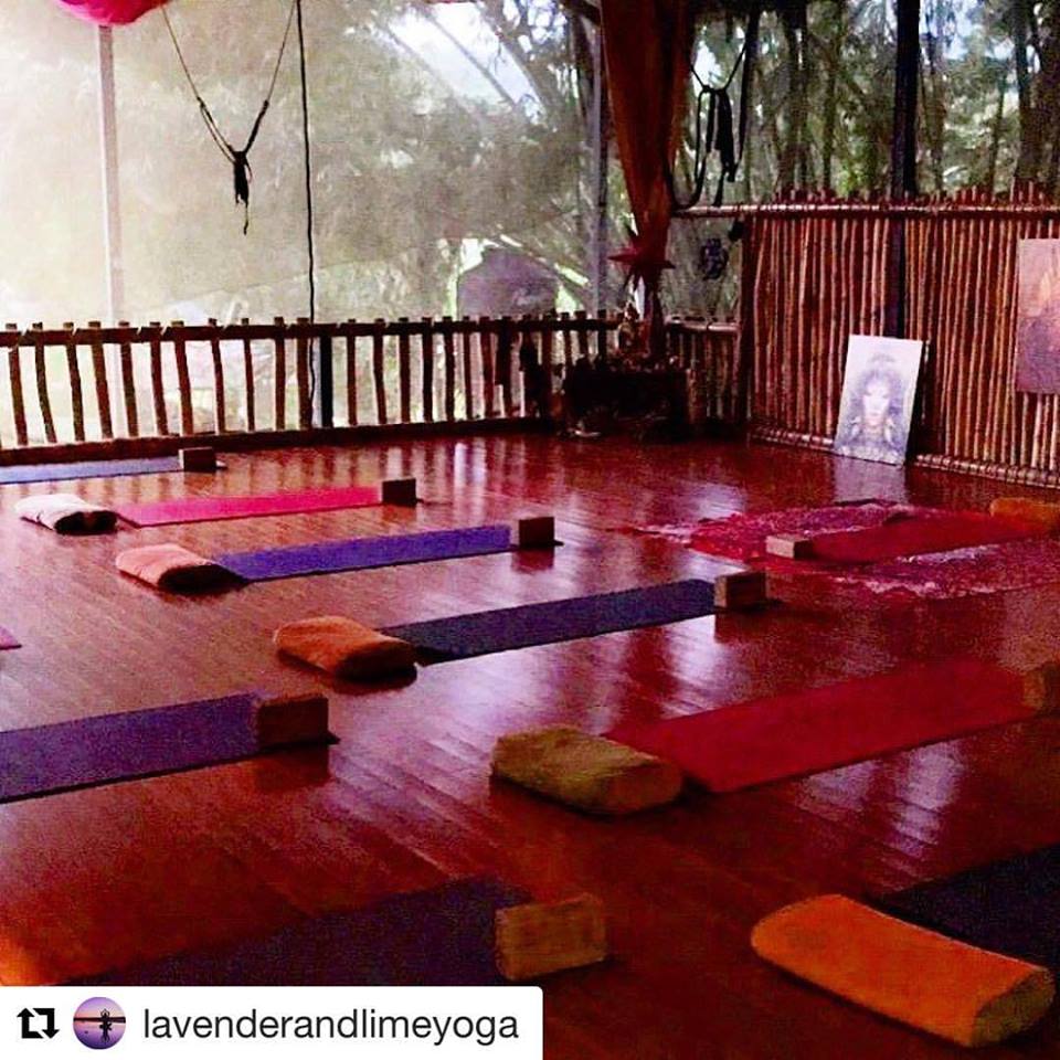 Danyasa Yoga Retreat Center Costa Rica