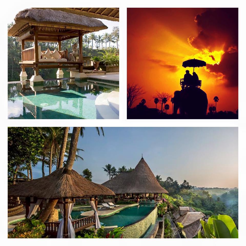 The Collektion Hotels And Resorts 
