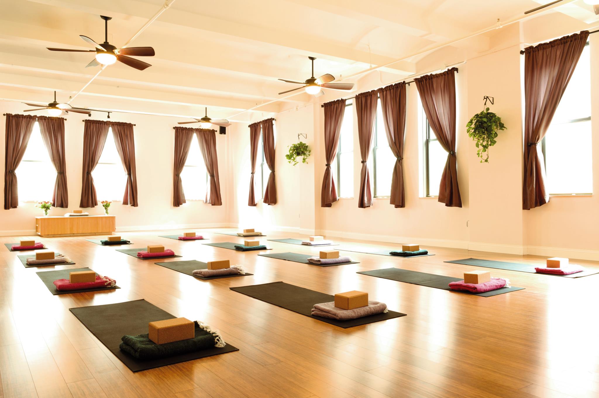 Yoga Vida Studio 