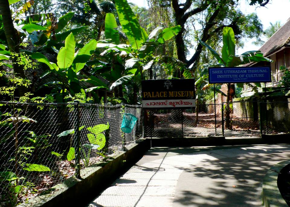 Ahimsa Ayurvedic Garden Retreats India