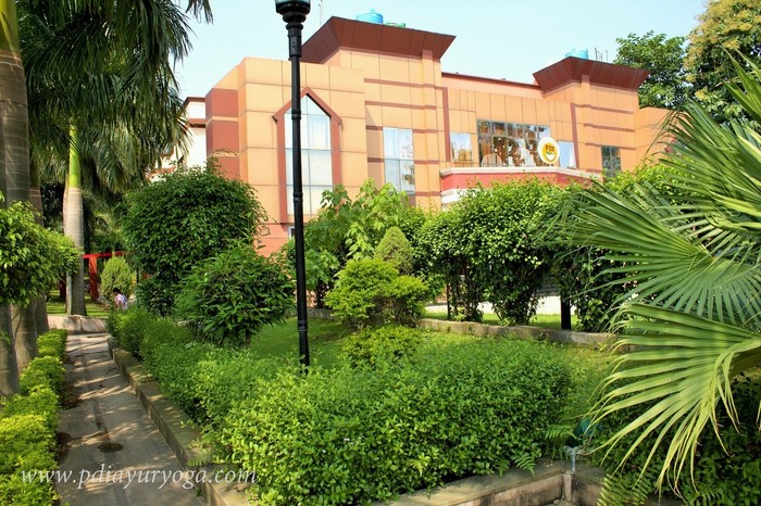 Pdi - Ayurveda Yoga And Panchakarma Center 