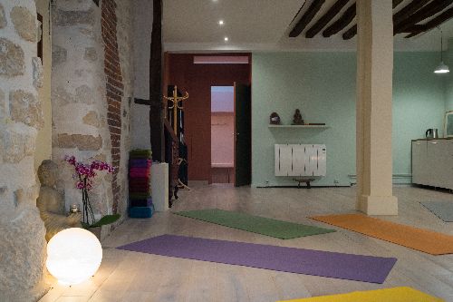 Yoga Vision Studio France