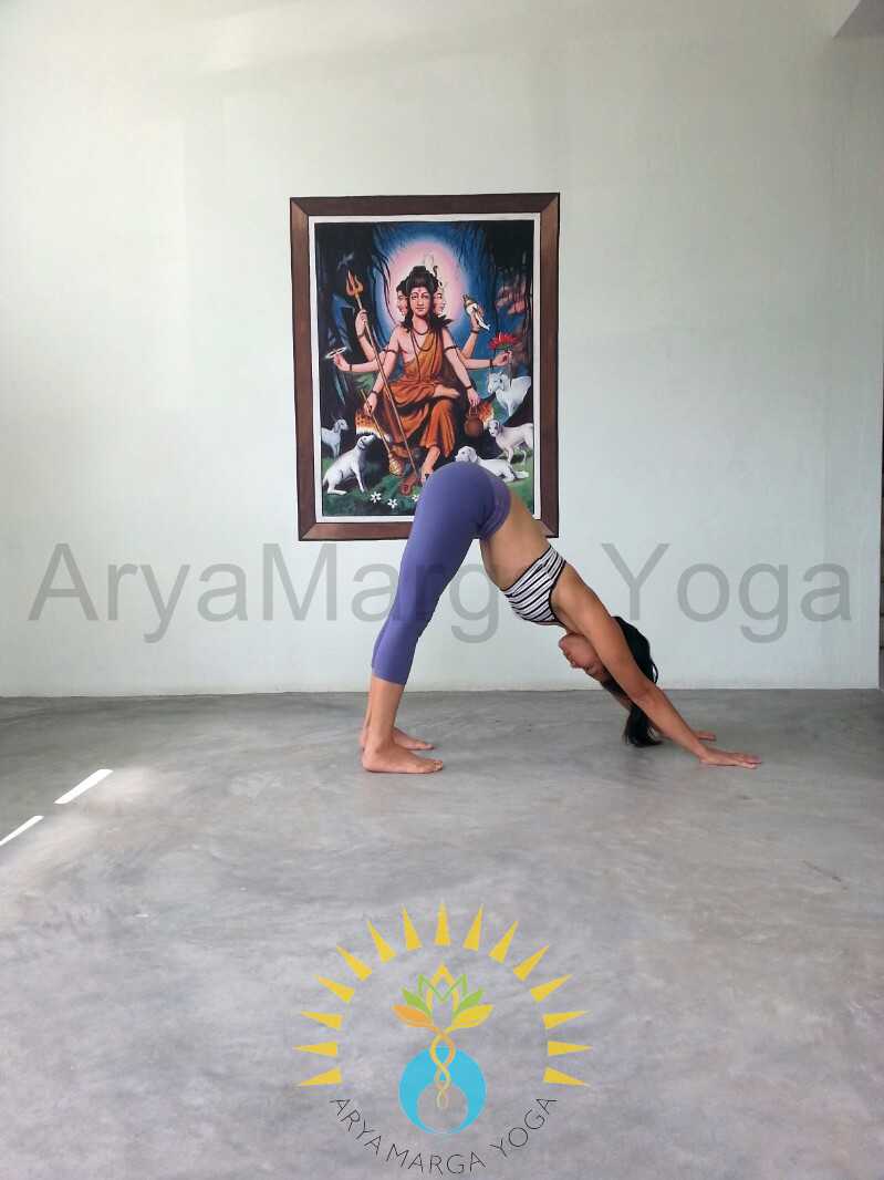 Aryamarga Yoga Institute 