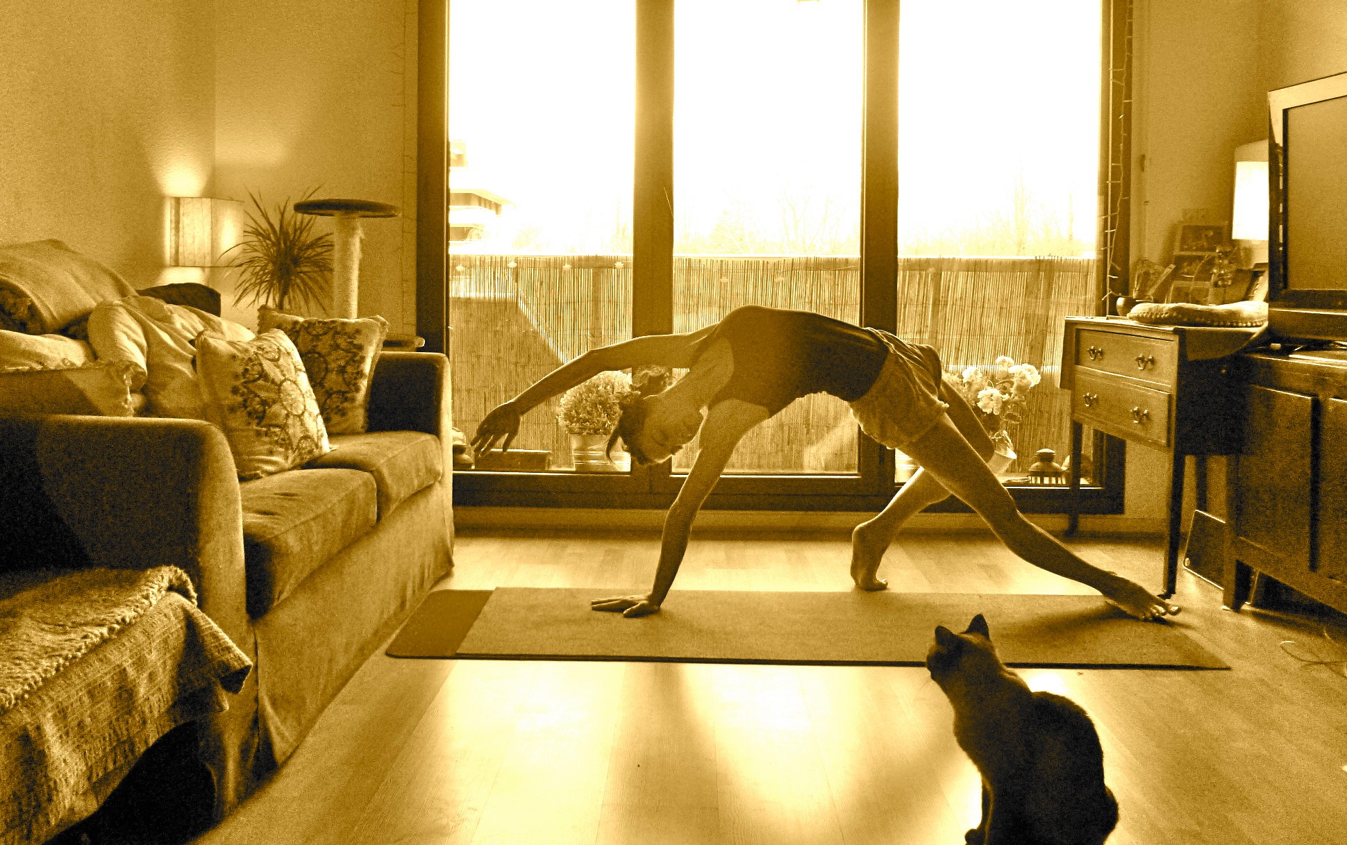 Indiv Yoga Studio 