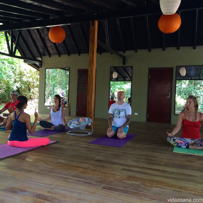 Vida Asana School Of Yoga 
