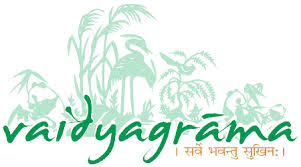 Vaidyagrama Ayurveda Healing Village India
