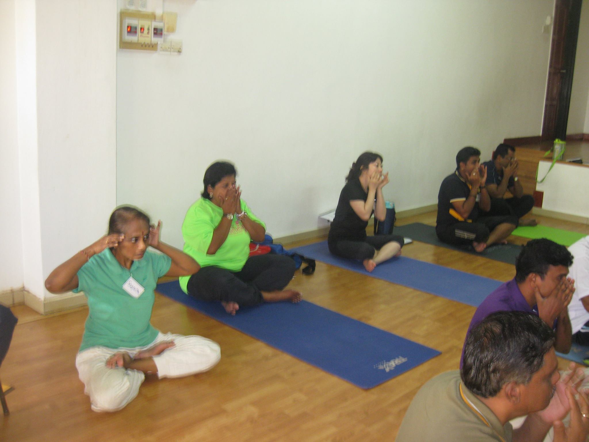 Ananda Marga Yoga Society 