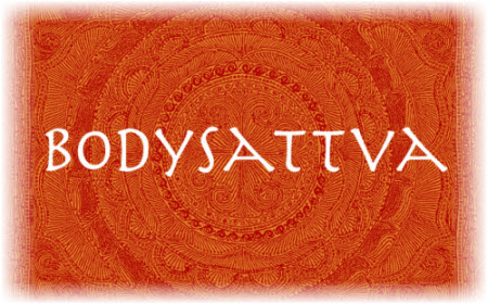 Bodysattva Healing Arts Center And Yoga Studio United States