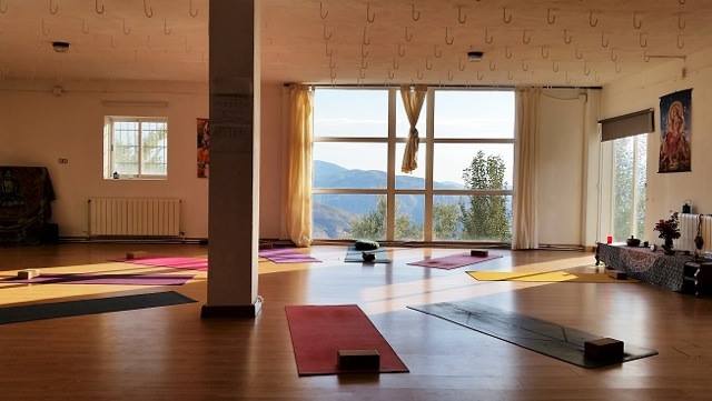 Zen Yoga By Dynamic Mindfulness Germany