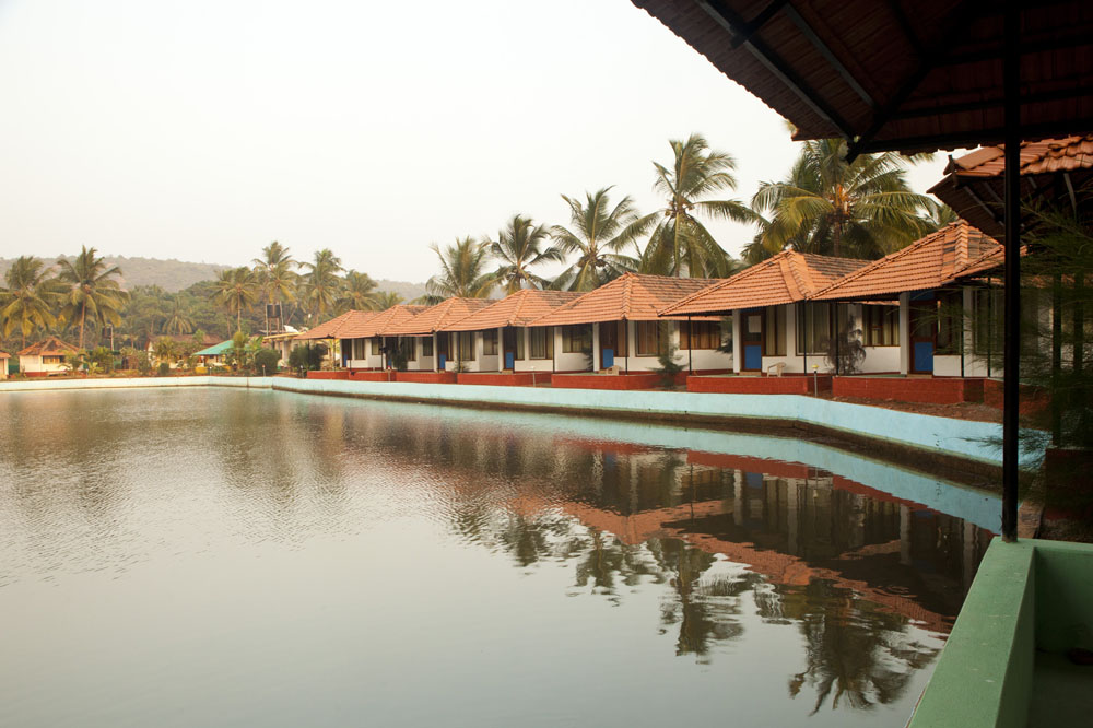 Mahi Yoga Center Goa 