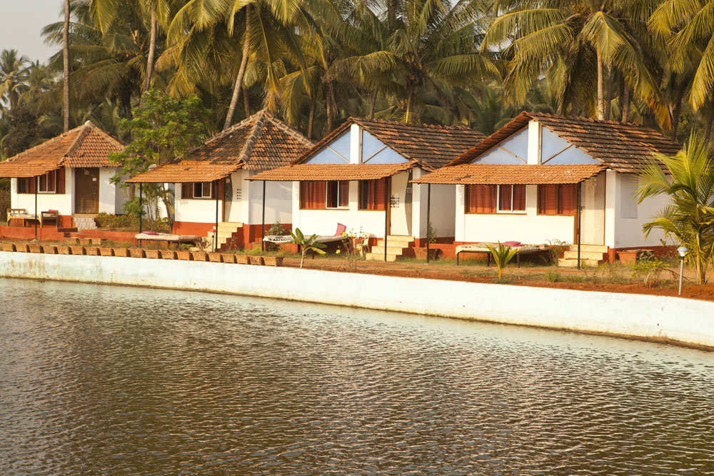Mahi Yoga Center Goa Goa