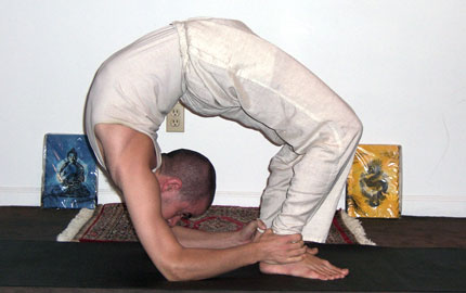 Yoga Dynamics