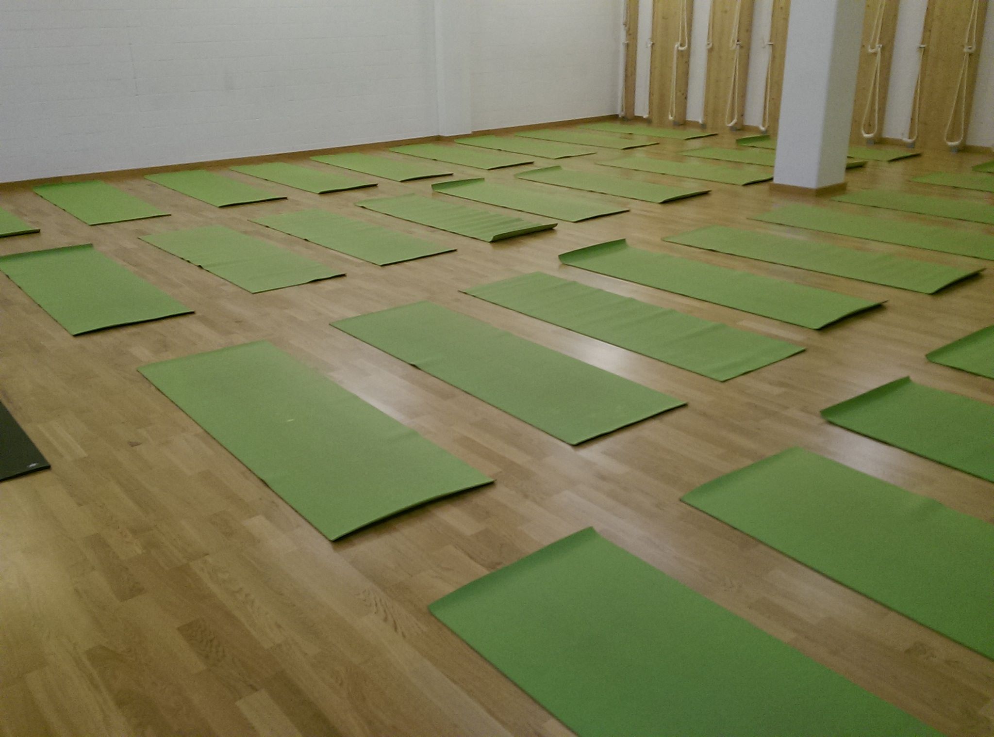 Iyengar Yoga Switzerland